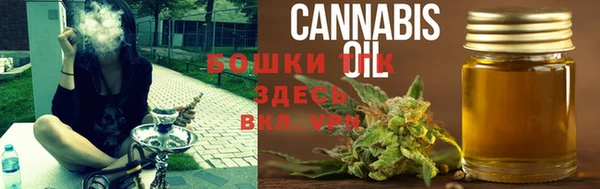сатива Аркадак
