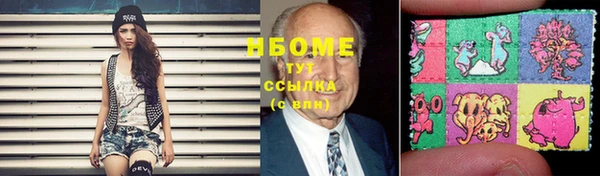 сатива Аркадак