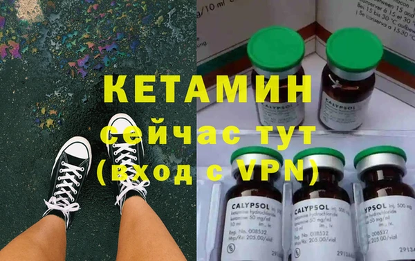 сатива Аркадак